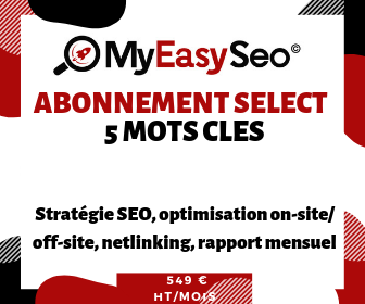 Pack MY EASY SEO Select 5 mots Clés